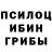 Псилоцибиновые грибы мухоморы Roman Pegarkov