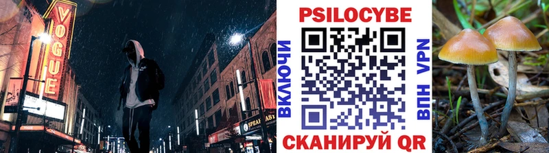 Псилоцибиновые грибы Psilocybe  Балахна 